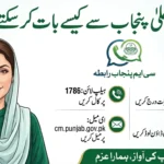 How Can I Talk to CM of Punjab