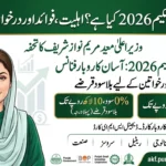 What is the Maryam Nawaz Loan Scheme